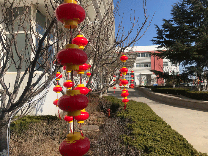 beat365唯一官方网站恭祝大家牛年大吉